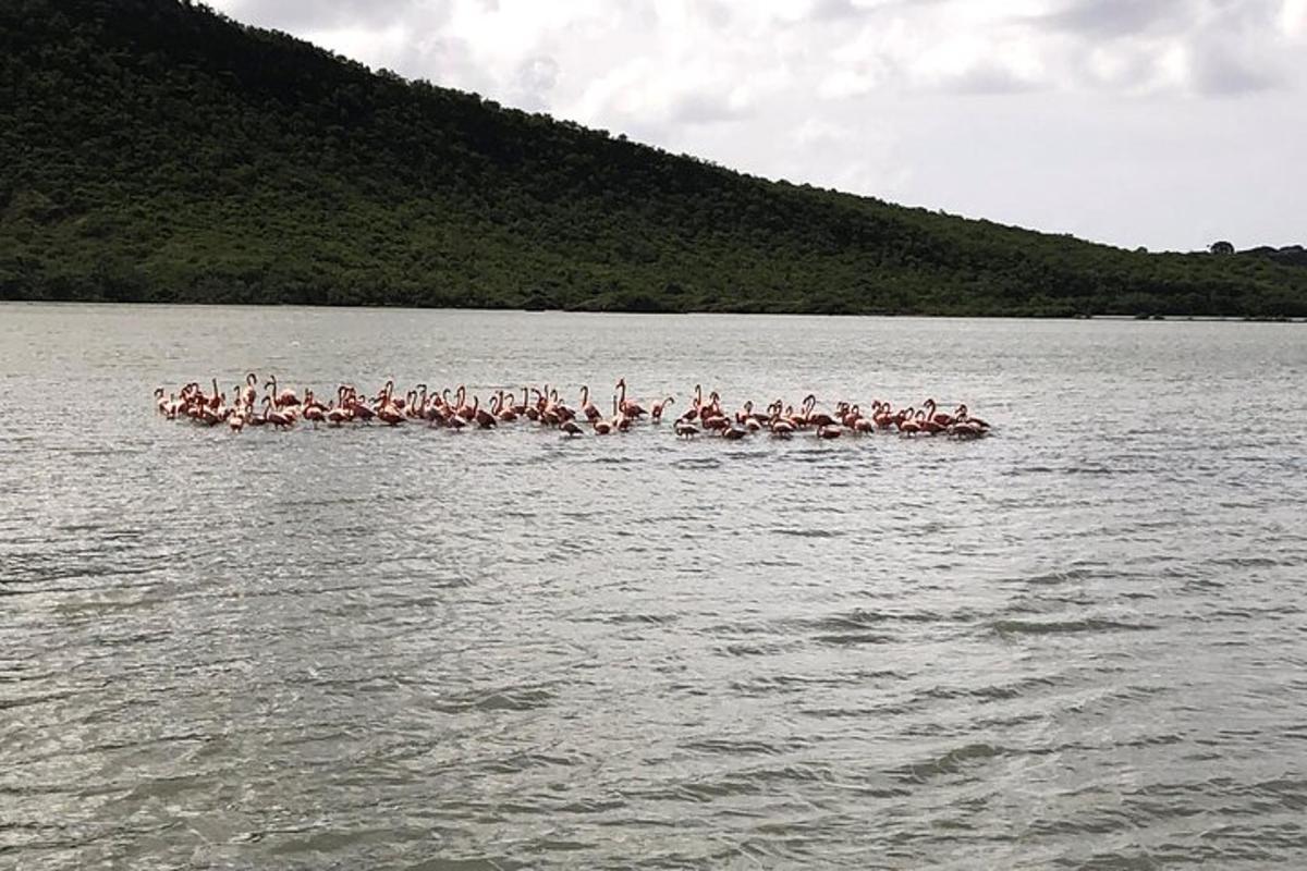 a group of people on a boat in the water