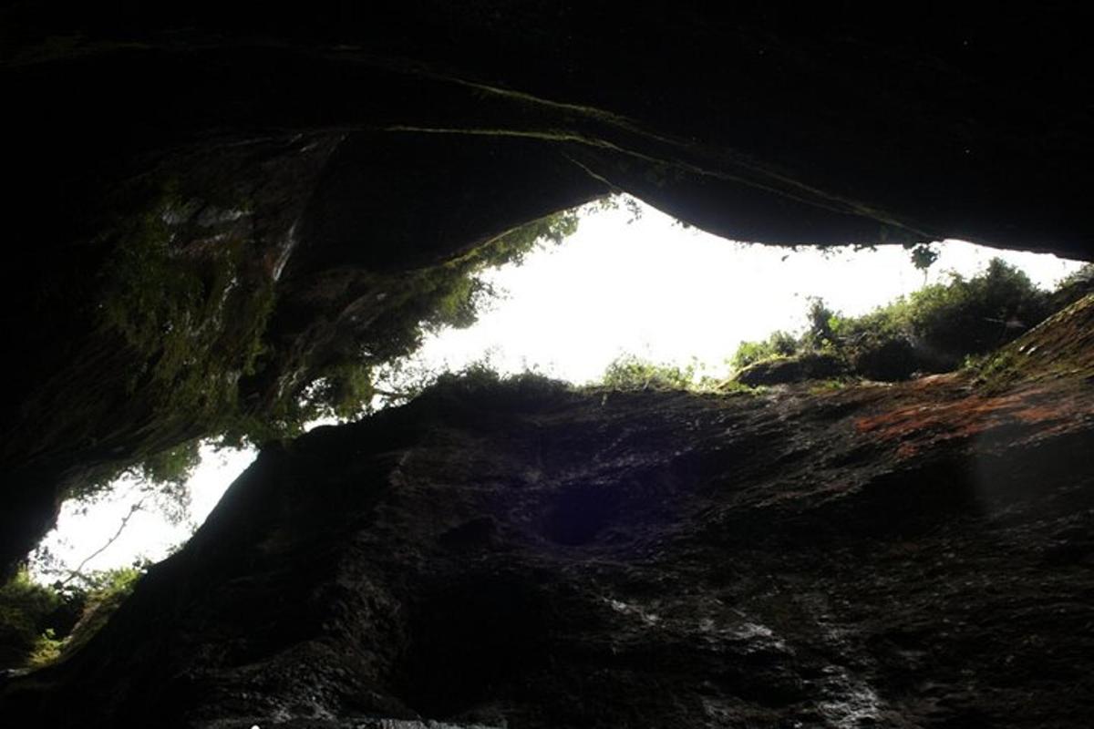 a view from inside of a cave