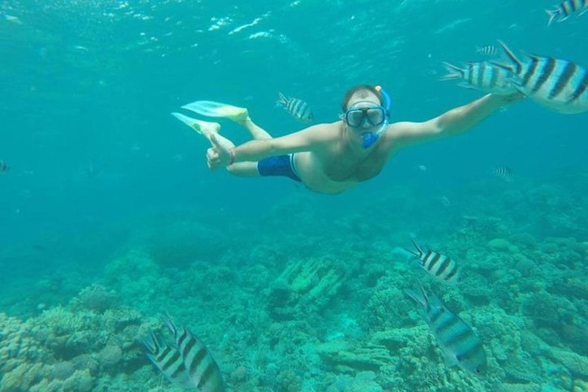 a woman swimming in the water with fish