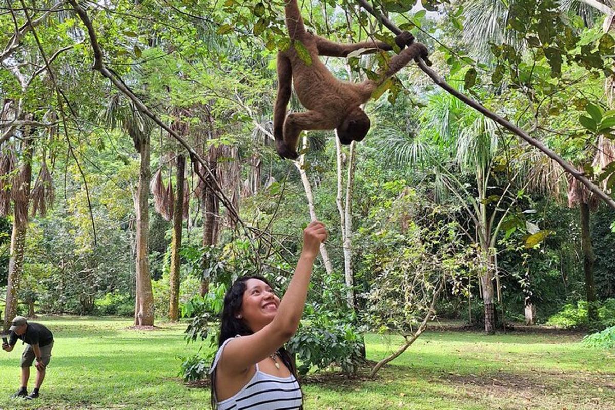 a woman reaching up to touch a monkey hanging from a tree