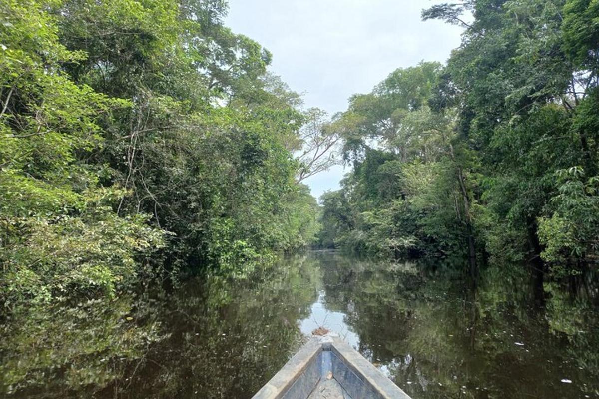 a boat in the middle of a river with trees