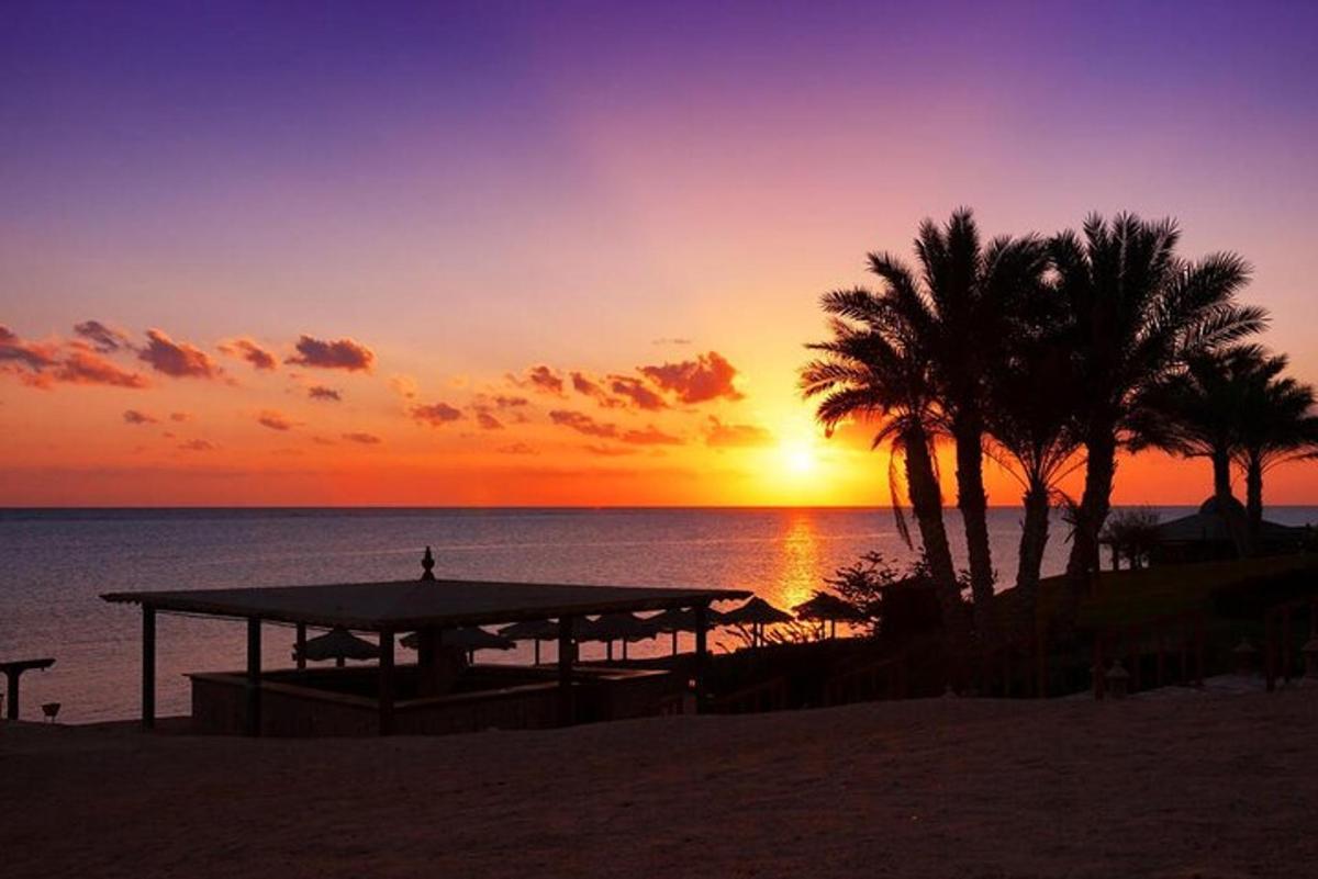 un tramonto sulla spiaggia con un tavolo da picnic e palme
