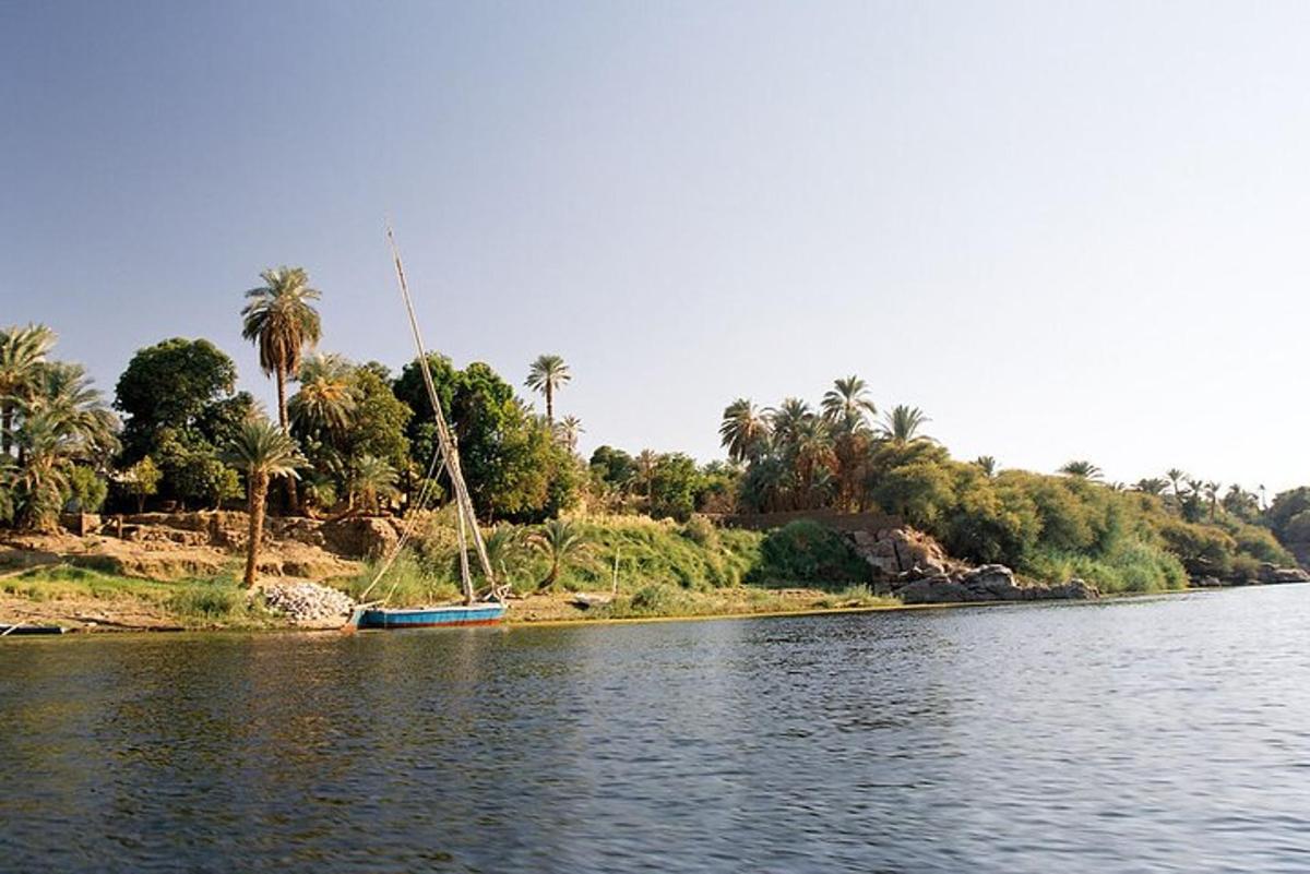 una barca su un fiume con palme sullo sfondo