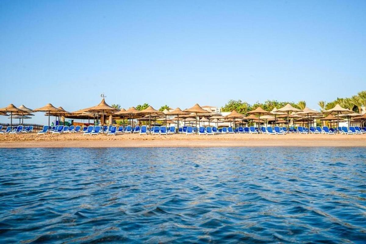 Una playa con sillas y sombrillas y el agua.