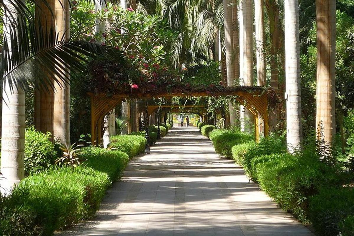 una passerella con palme e un arco