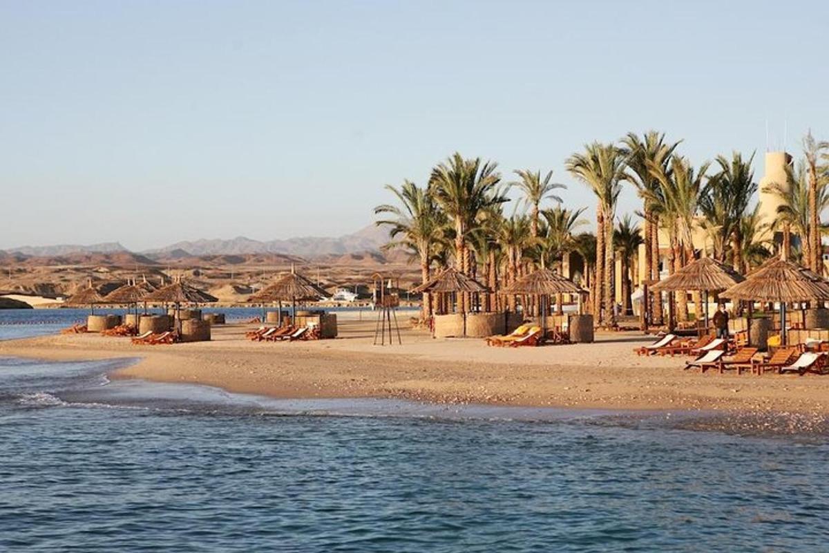 una spiaggia con ombrelloni, sedie e palme