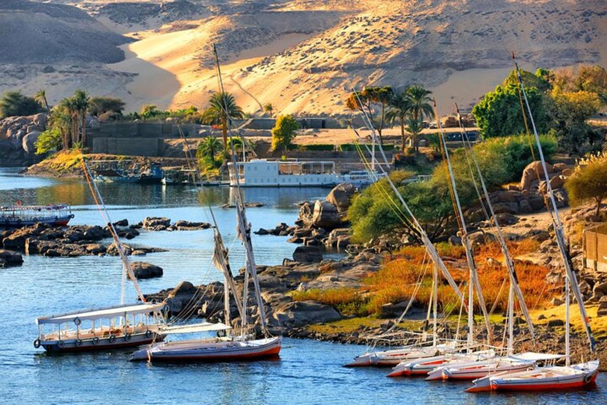 a group of boats docked in a body of water