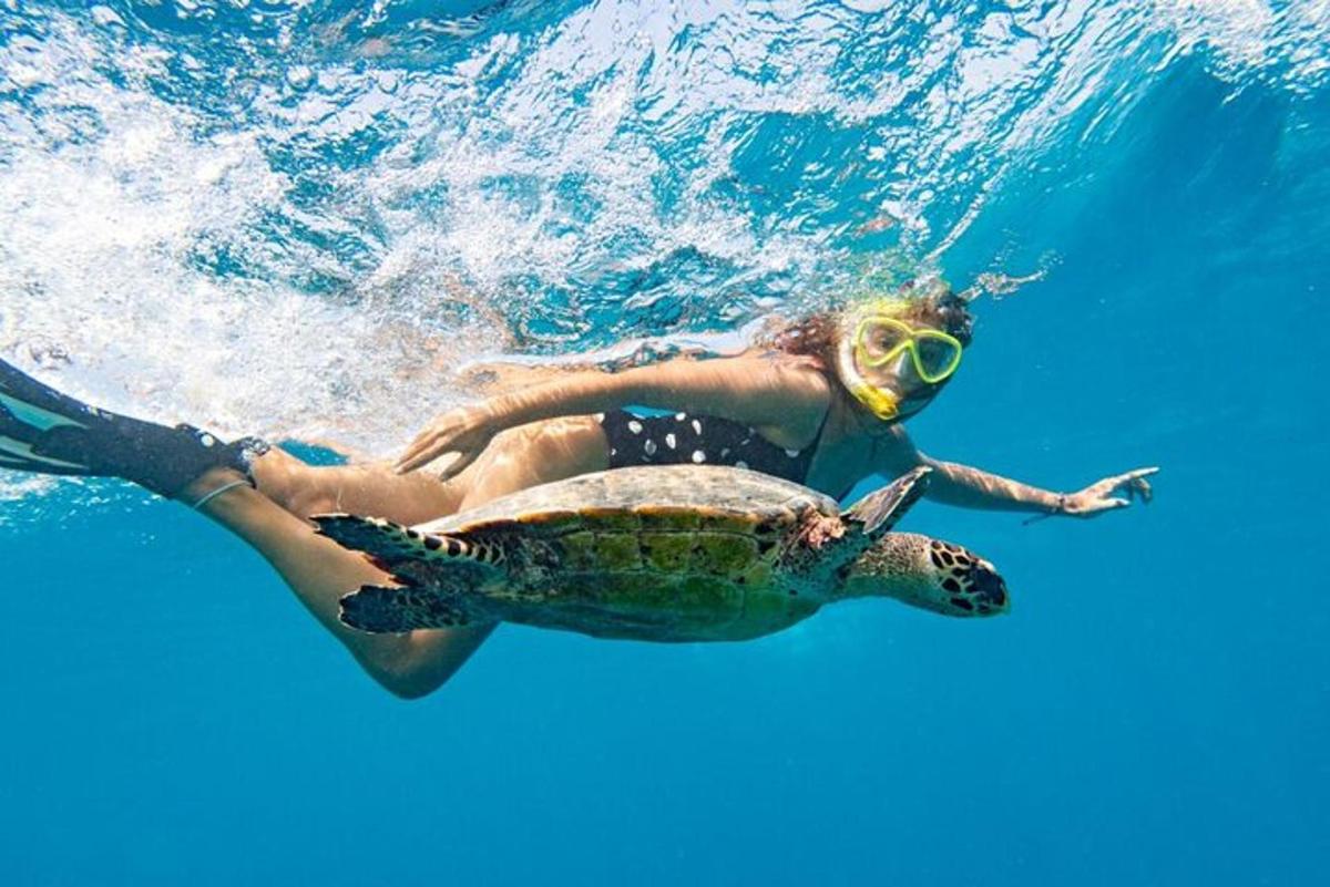 una donna che nuota con una tartaruga nell'acqua