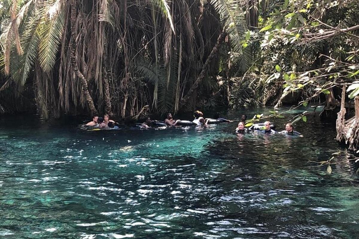 un gruppo di persone che nuotano in una piscina d'acqua