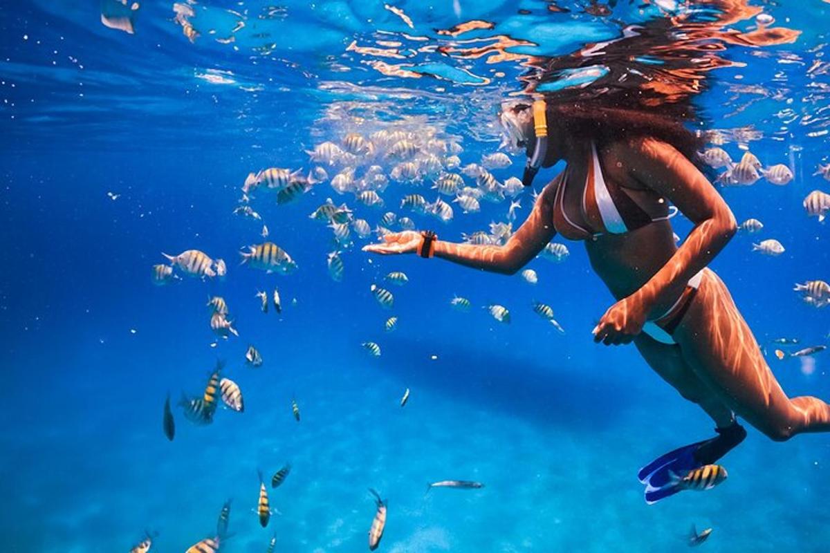 una mujer en el agua mirando peces