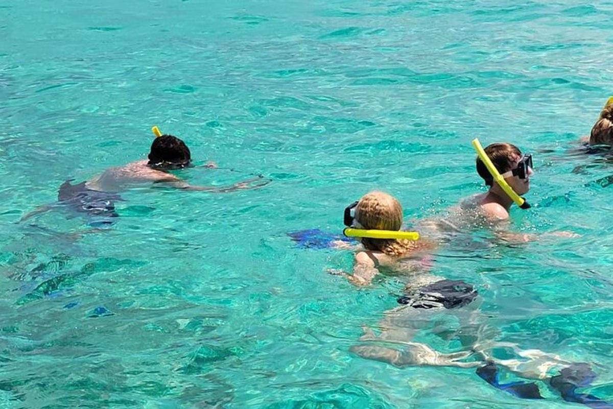 a group of people swimming in the water