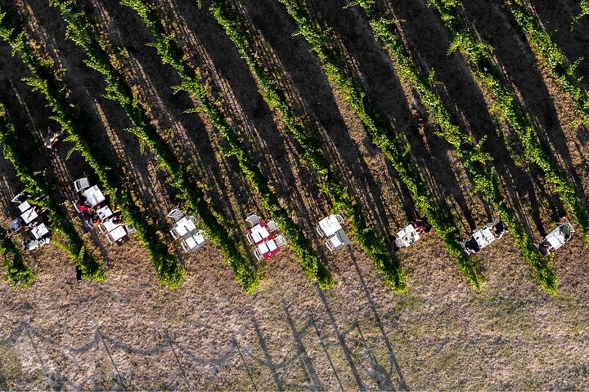 an overhead view of a farm field with vehicles parked