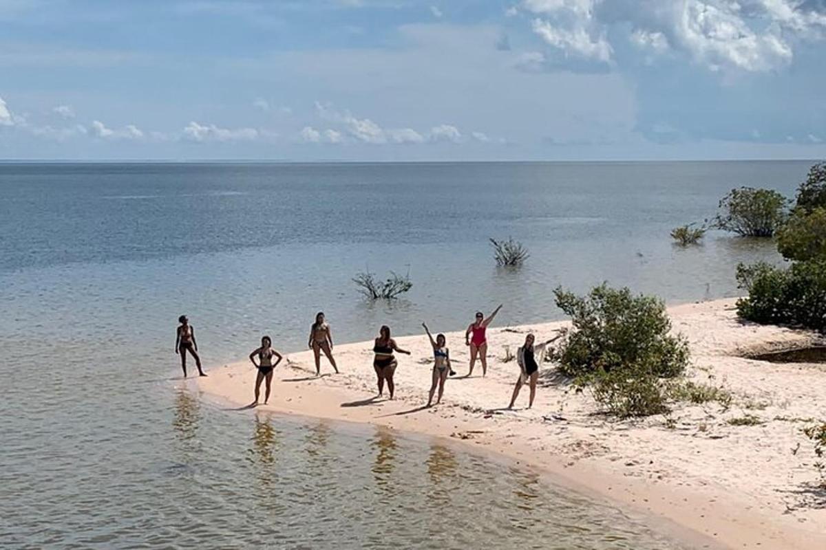 a group of people playing in the water on a beach