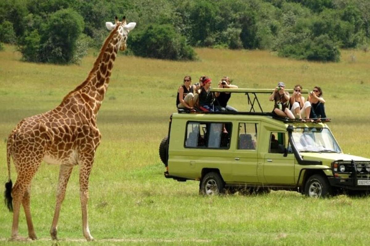 uma girafa parada ao lado de um veículo com pessoas