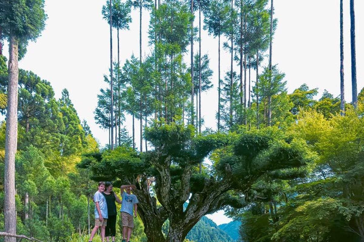 sekumpulan orang berdiri di sebelah pokok