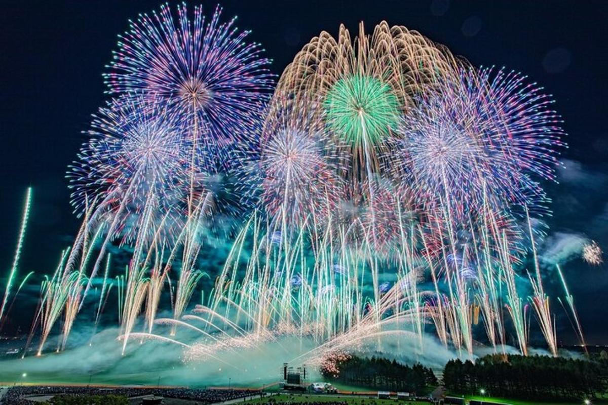 a group of fireworks exploding in the sky at night