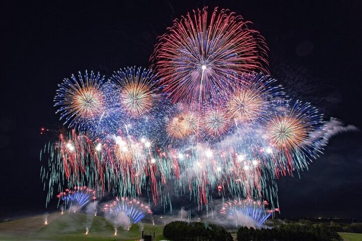 a group of fireworks exploding in the night sky
