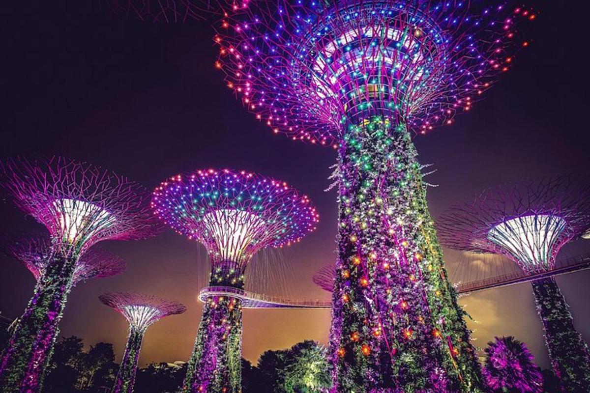 a group of trees lit up at night