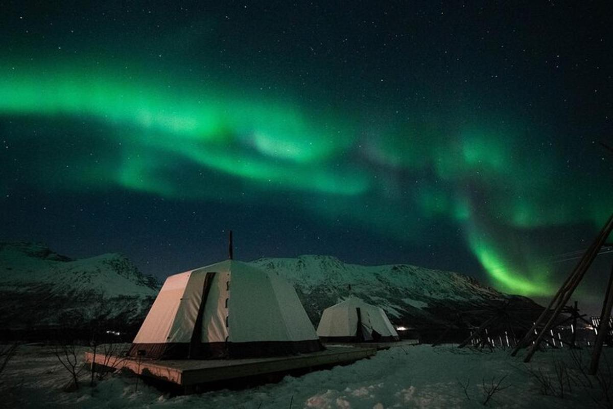 un'aurora su un campo con tende sotto le stelle