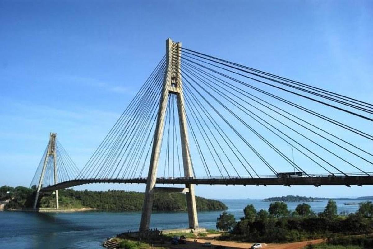 un ponte sospeso sopra un fiume con vista