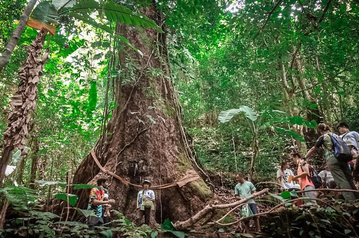 sekumpulan orang berdiri di sekeliling pokok di dalam hutan