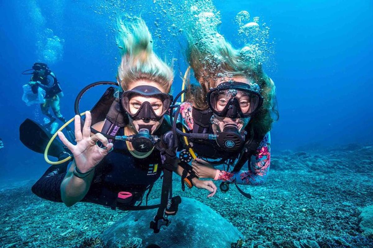 zwei Personen in Taucherausrüstung im Wasser