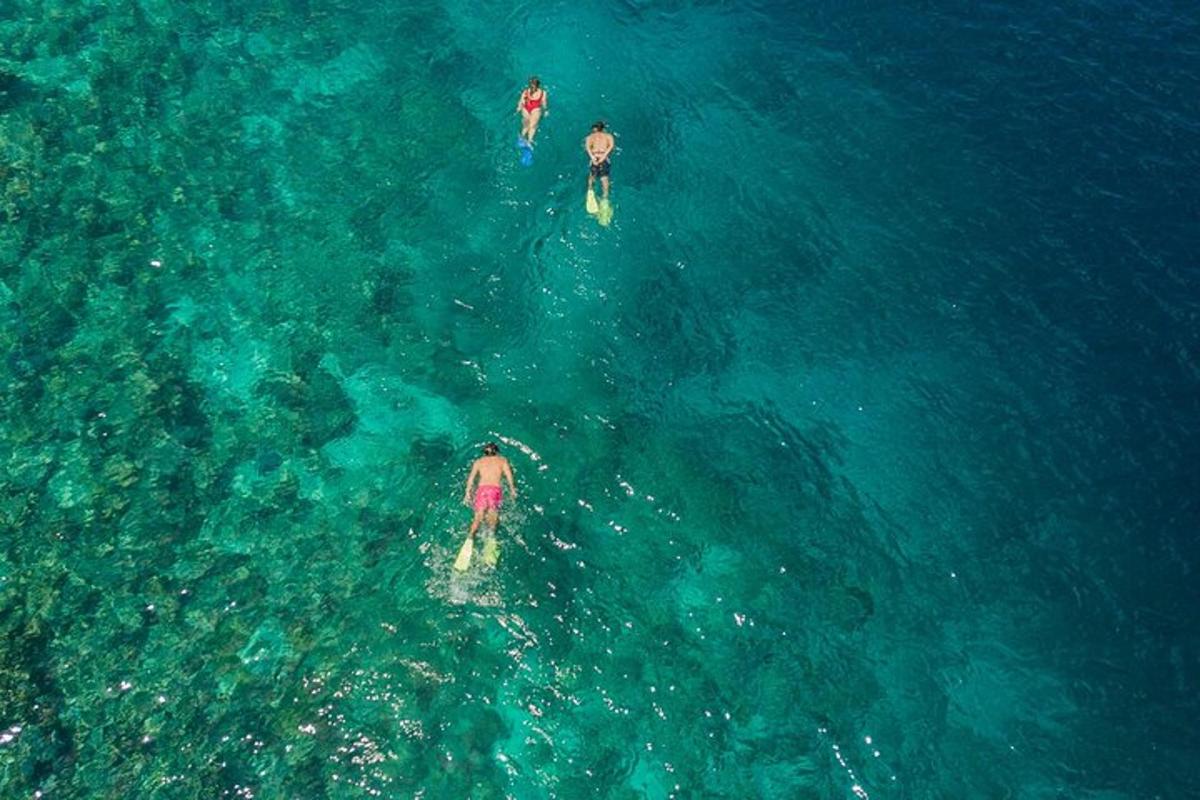 three people swimming in the water in the ocean