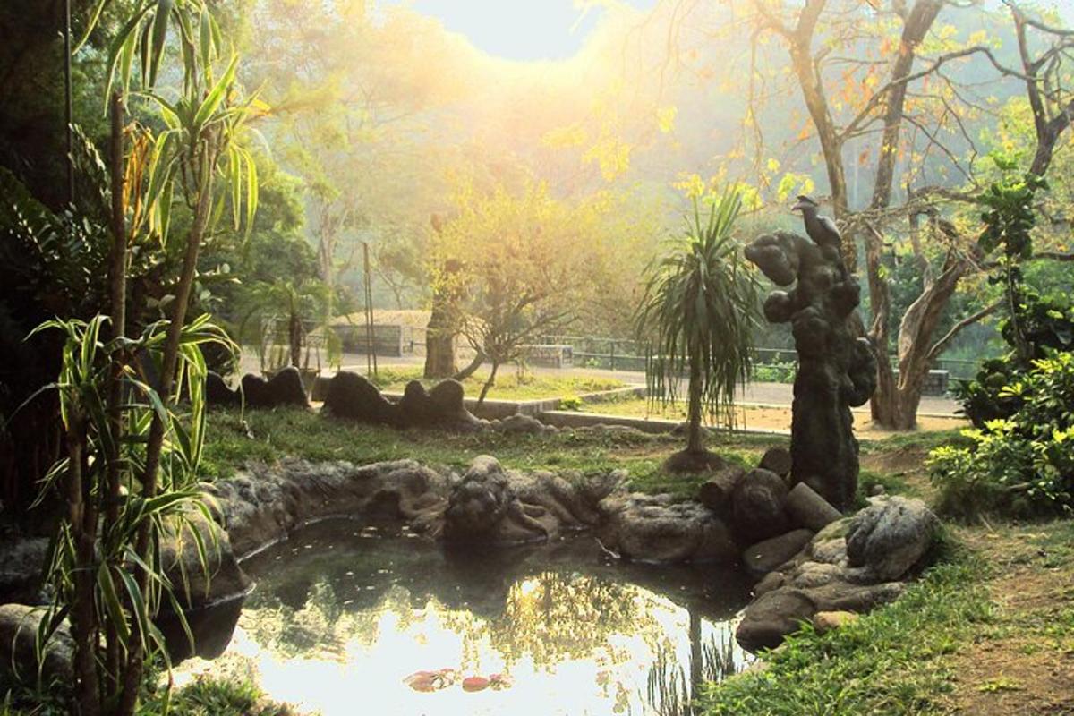 a pond in the middle of a park