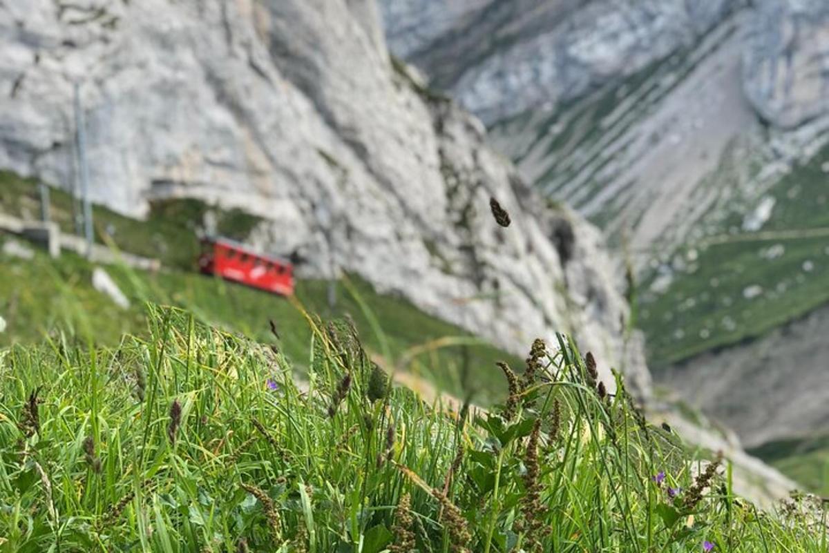 lukisan gunung dengan kereta api merah di atasnya