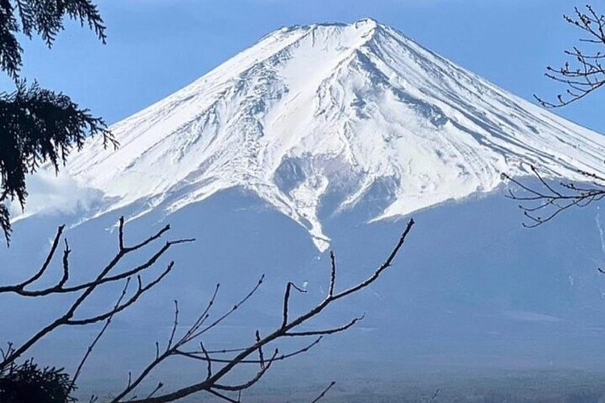 una montagna innevata in lontananza con alberi