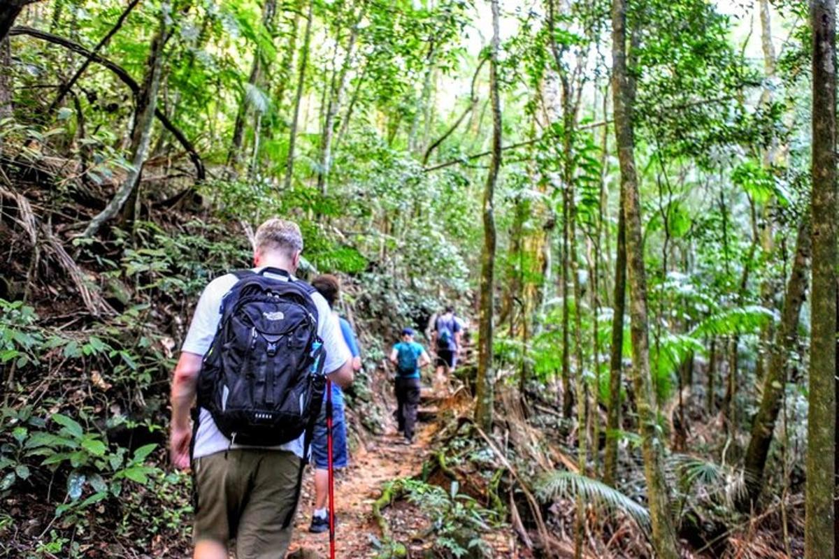 un gruppo di persone che camminano su un sentiero nella giungla