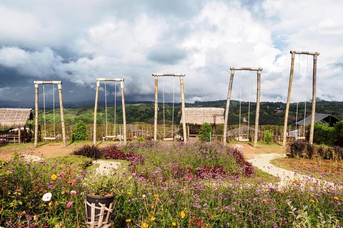 Un jardín con un campo de flores y una montaña rusa.