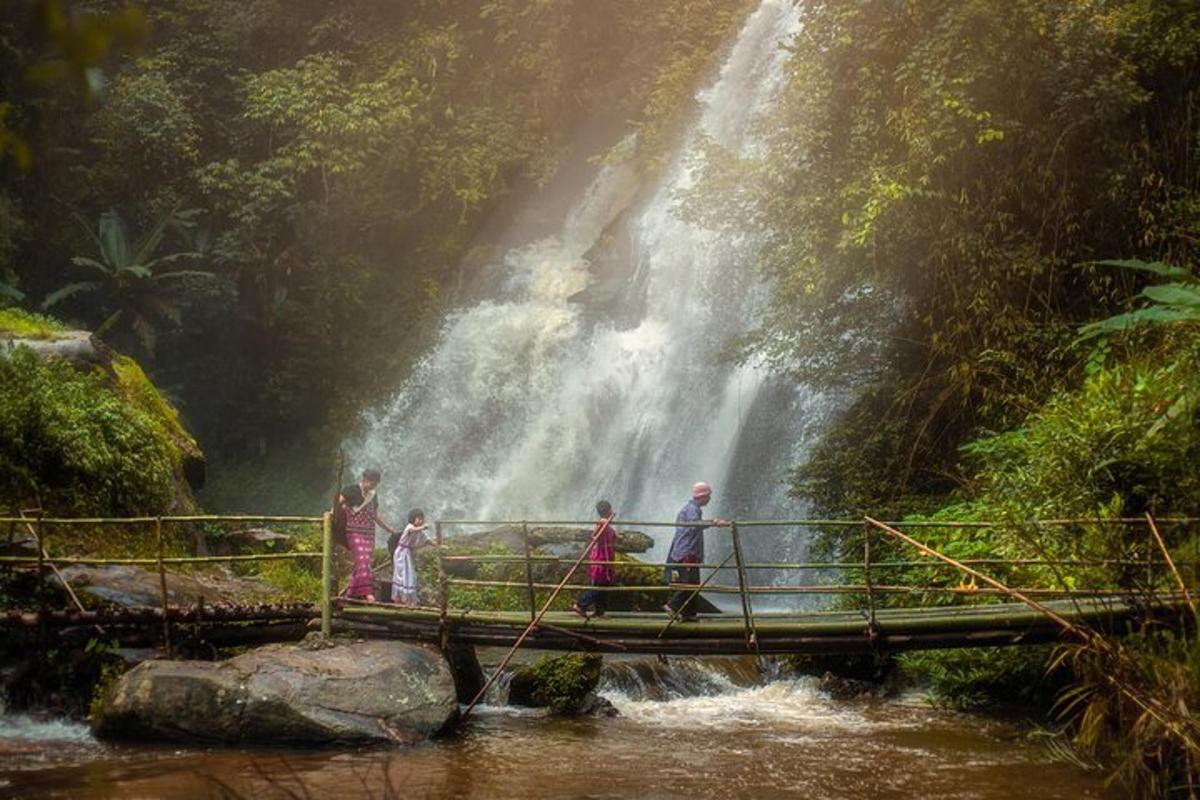 Un grupo de personas de pie en un puente frente a una cascada.