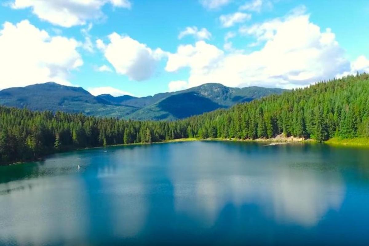 veliko jezero z drevesi in gorami v ozadju