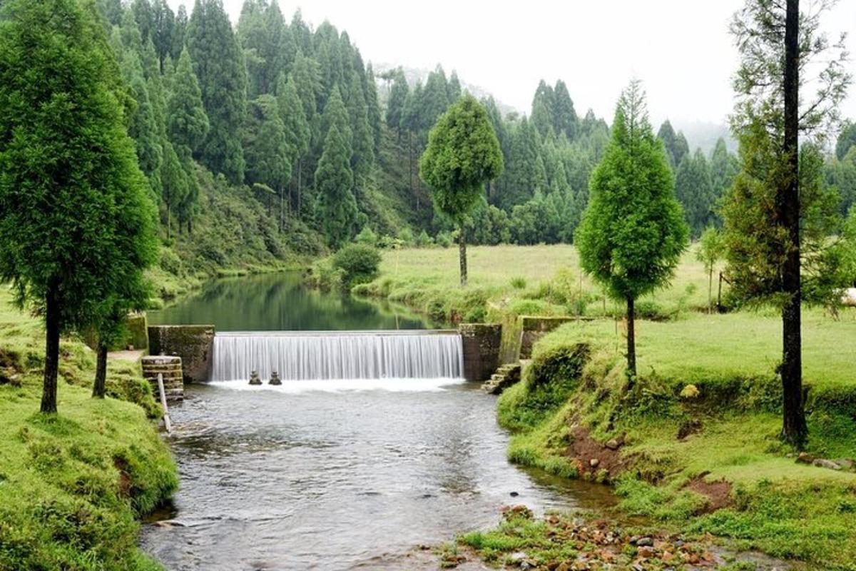 una cascada en un río en un campo con árboles