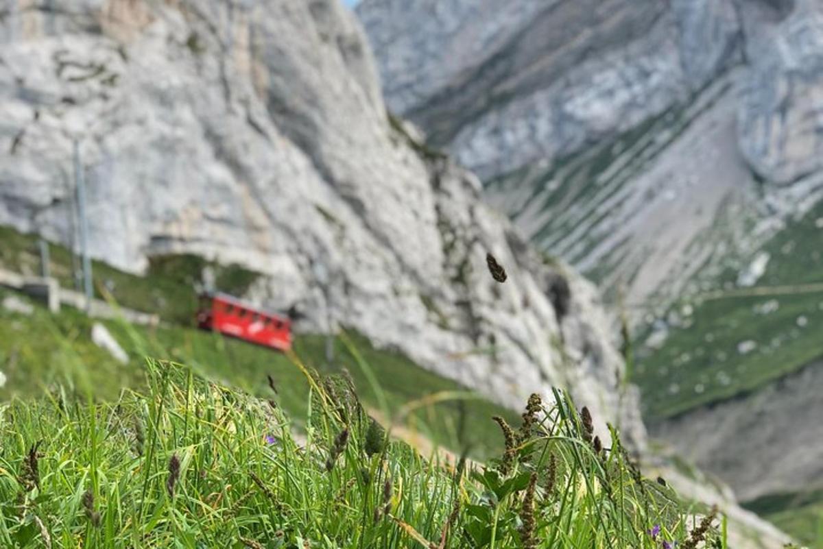 a painting of a mountain with a red train on it