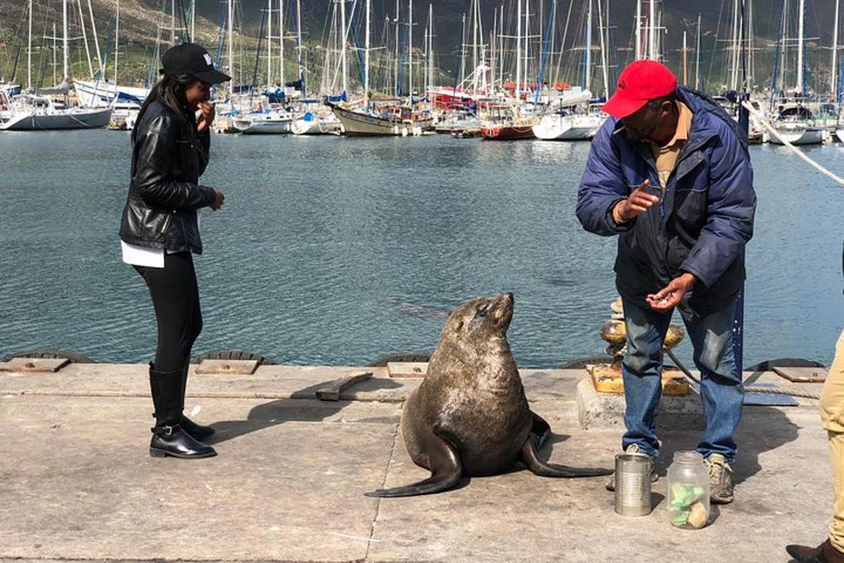 un paio di persone e un leone marino seduti su un molo