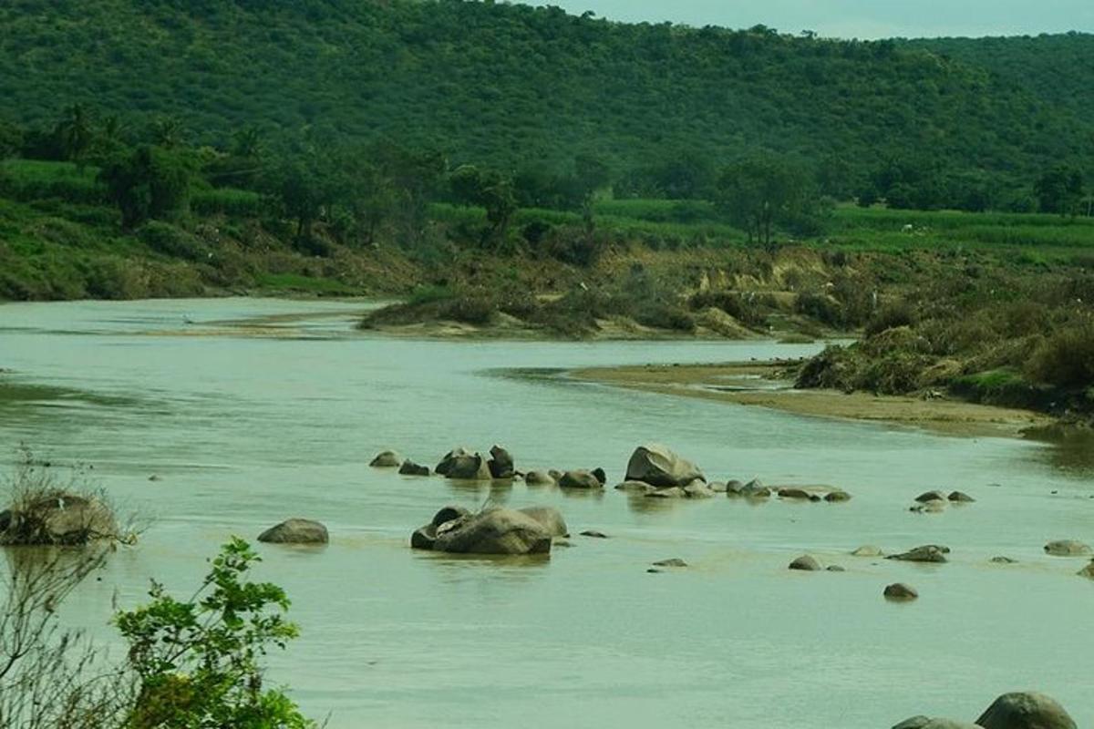 a group of elephants swimming in a river