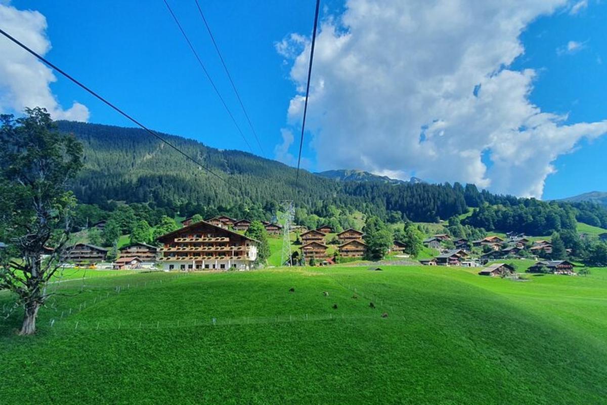 a large green field with a village in the distance