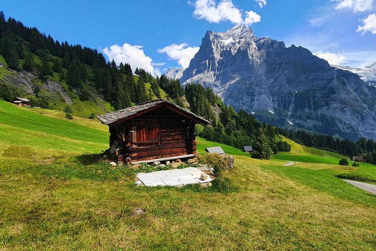 a small cabin on a grassy hill with a mountain