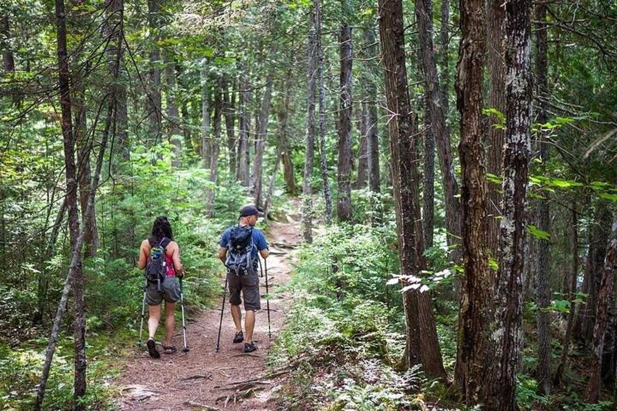 dues persones caminant per un sender al bosc