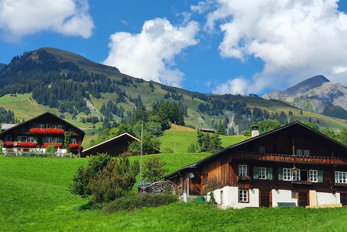 a house in a field with mountains in the background