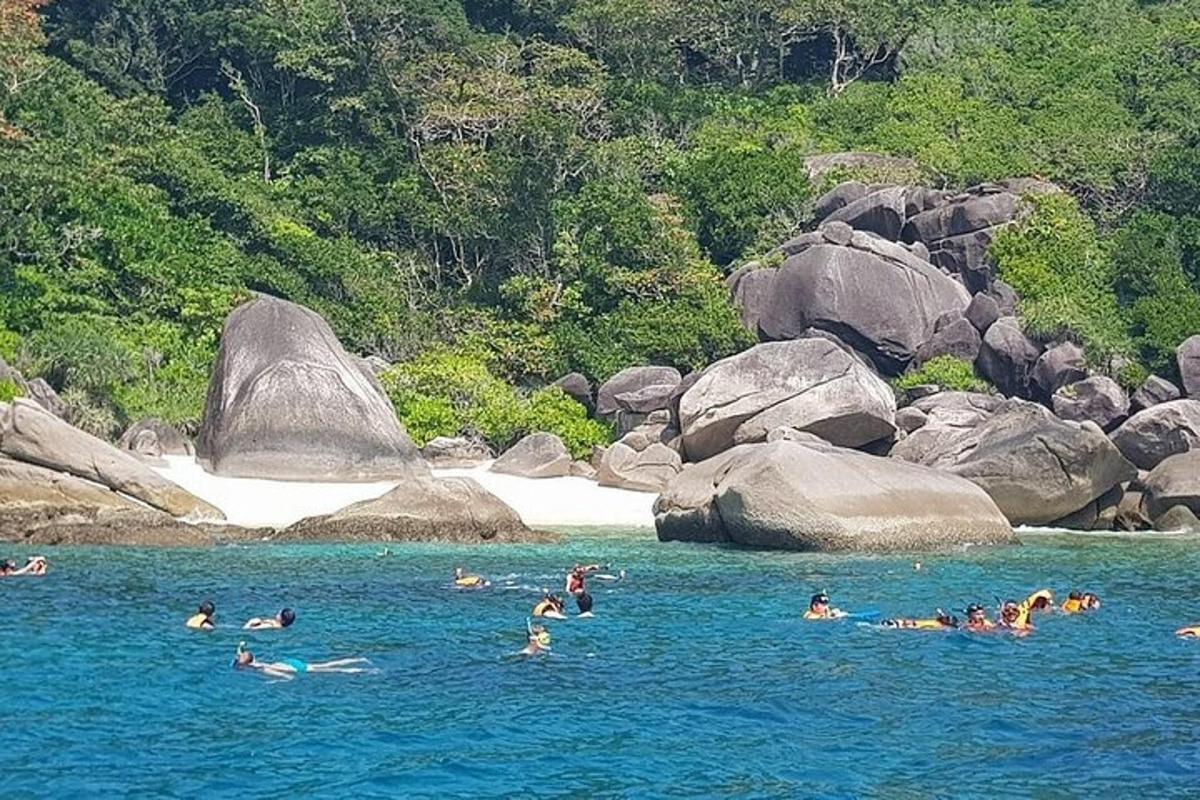 un gruppo di persone che nuotano in uno specchio d'acqua