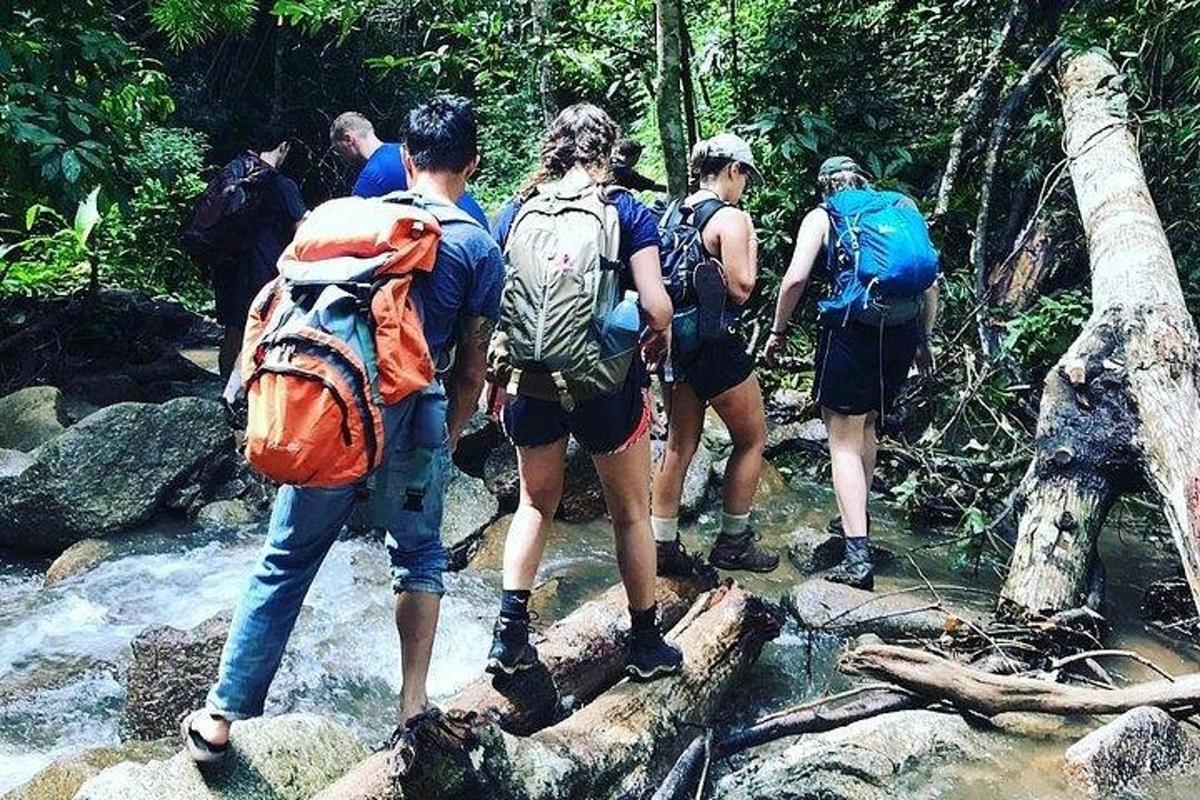 un grup de persones creuant un rierol al bosc