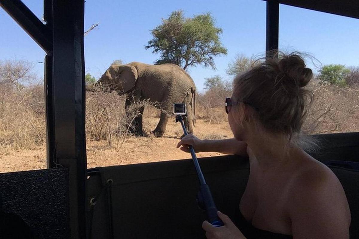 a woman taking a picture of an elephant from a vehicle