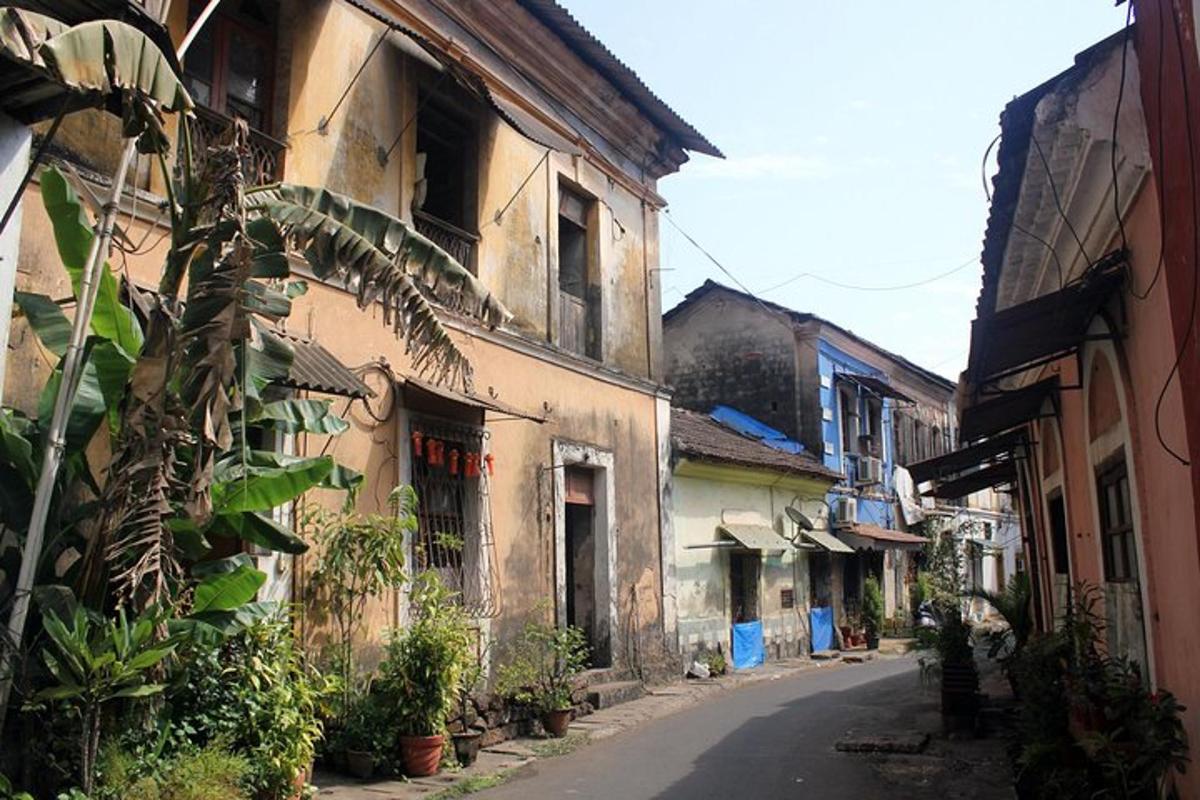 một con hẻm có các tòa nhà và cây cối trên phố