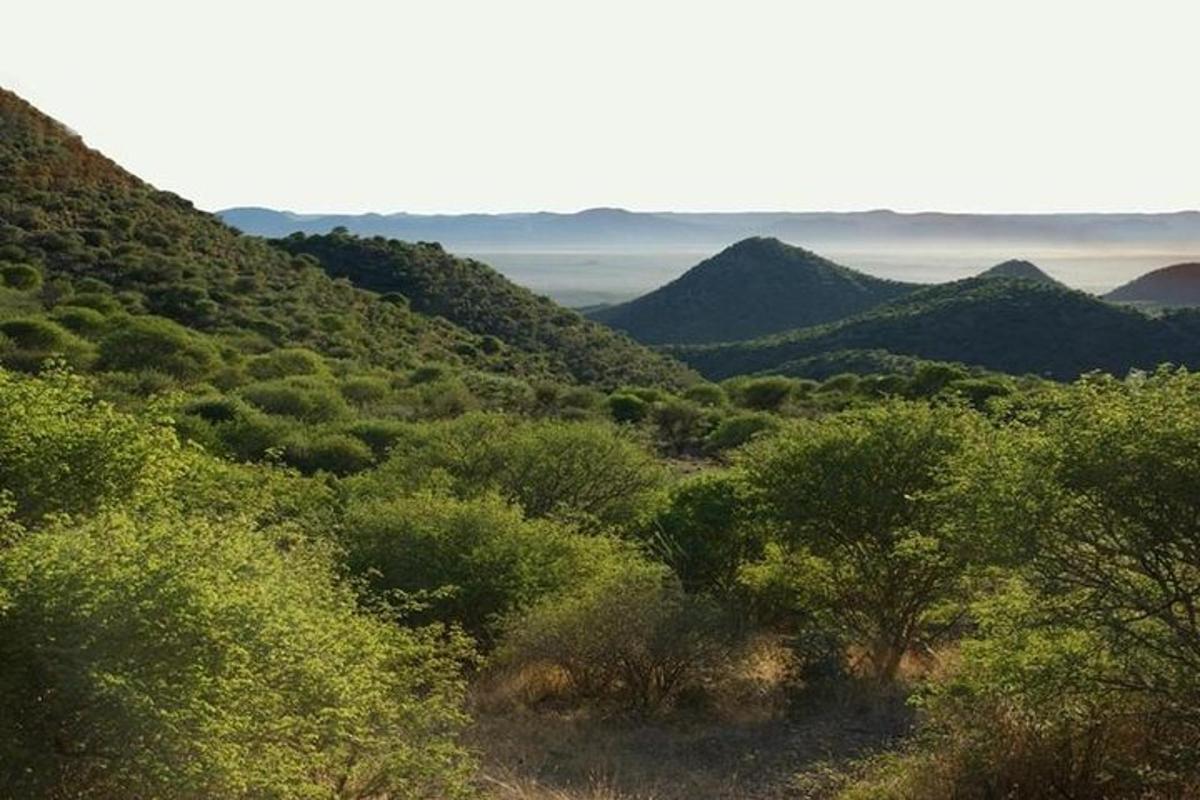 a view of a valley with mountains and trees