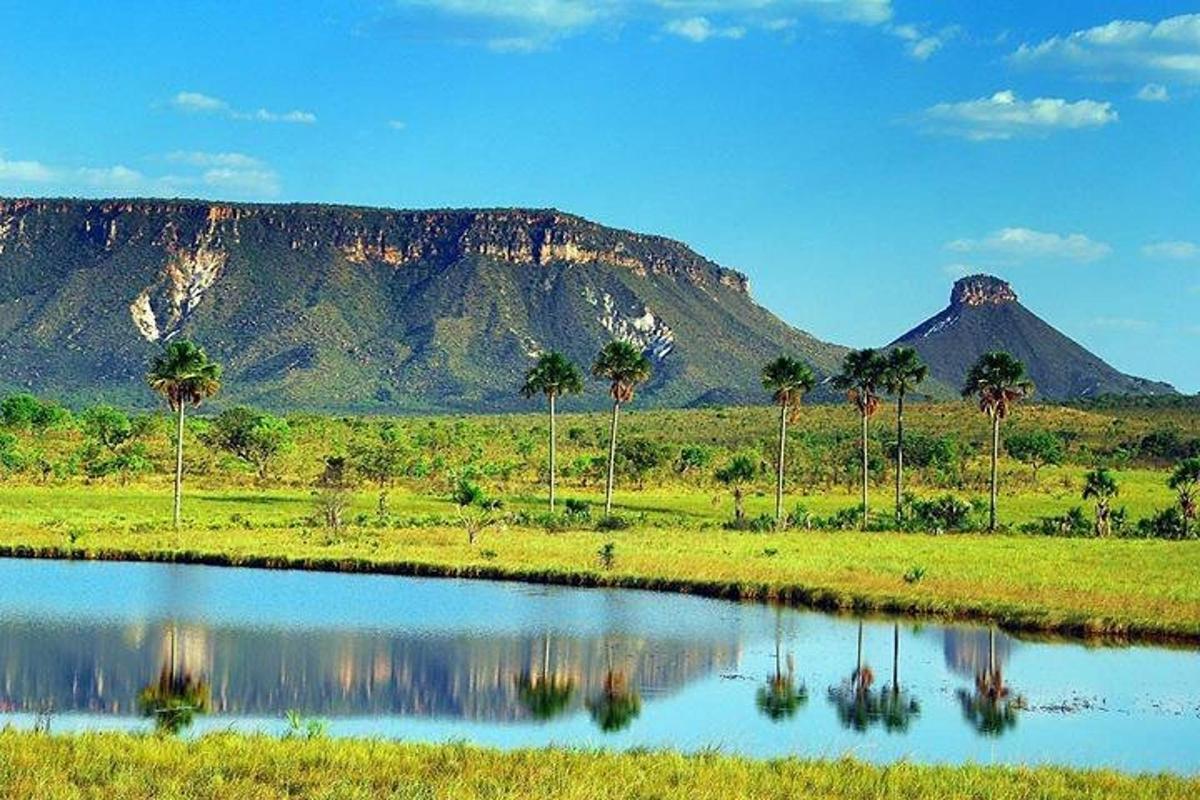 a body of water with palm trees and a mountain