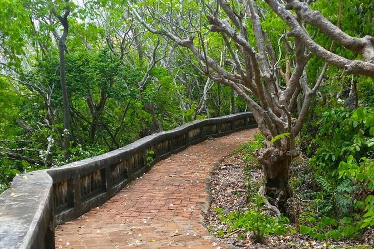a brick path leading through a forest with a tree
