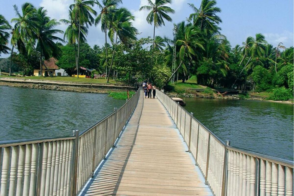 a bridge over a river with people walking on it
